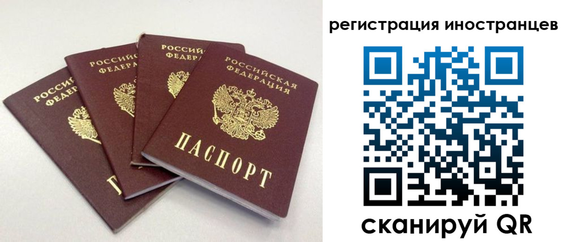 временная регистрация для школы в Богучаре